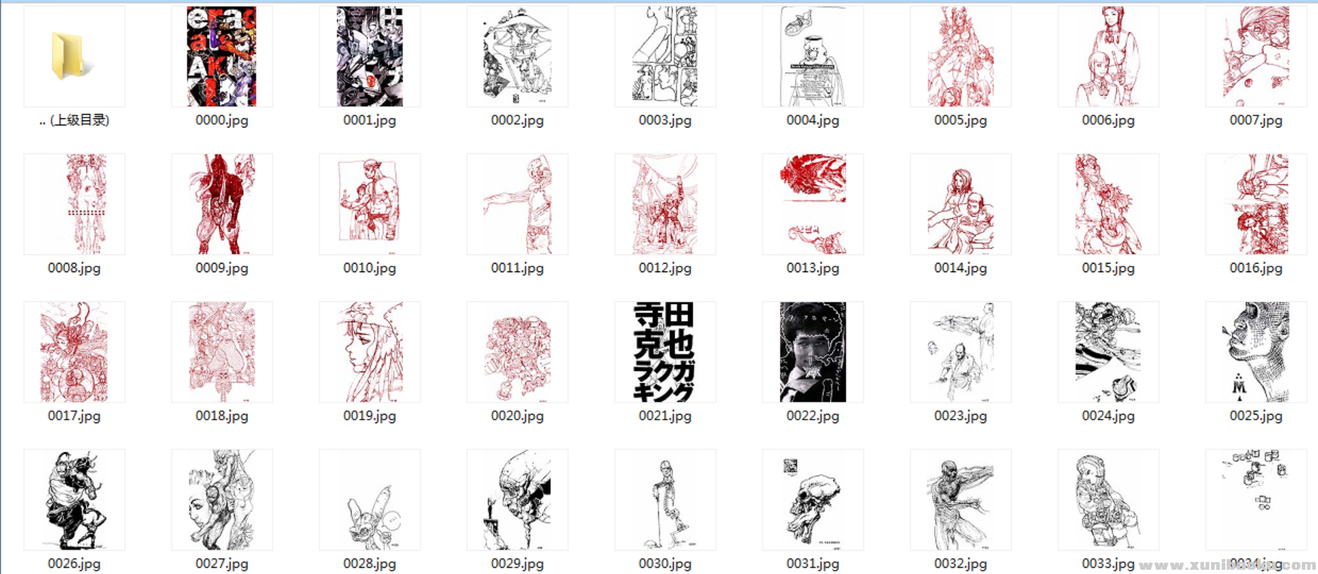 233125pll71y11brzla797 - 副本.png