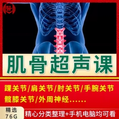 肌骨超声视频课程肘肩踝膝髋踝关节周围神经超声教程